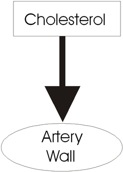 Cholesterol and Heart Attack