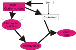 Stop the inflammation!