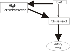 The low fat diet meant a high carbohydrates one