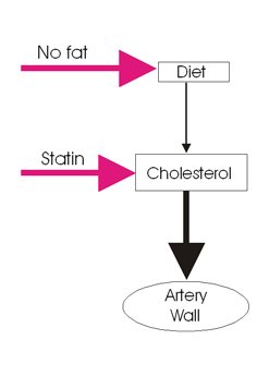 Decreasing cholesterol, is it really safe?