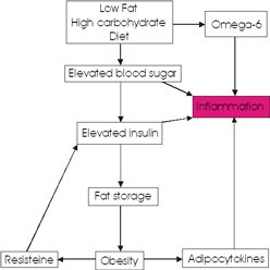 How inflammation occurs